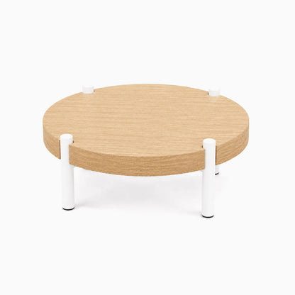 Fern Plant Stand (White Oak) with minimalist round solid hardwood top and white metal legs, designed to elevate and display plants with functional style.