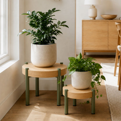 Fern Plant Stand (Walnut) with green metal legs holding potted plants in a sunlit minimalist living space featuring natural wood furniture and neutral decor.