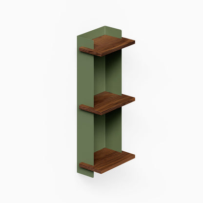 Halle Bookshelf (Walnut) with three walnut shelves and green vertical side panels for compact wall display and storage
