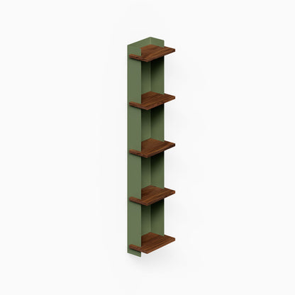 Halle Bookshelf (Walnut) with five walnut shelves and green vertical side panels for organized wall display
