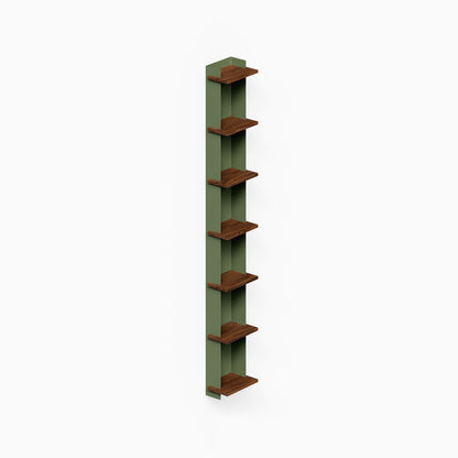 Halle Bookshelf (Walnut) tall vertical wall shelf with seven walnut shelves and a green backing for compact display and storage