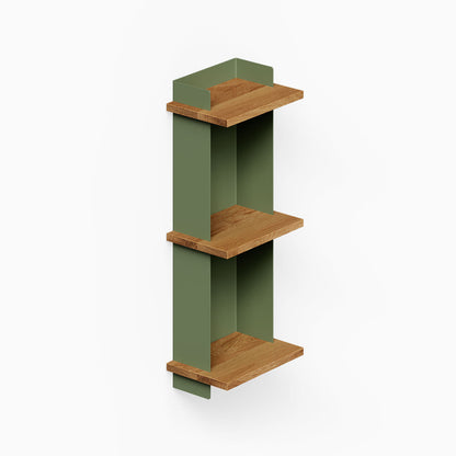 Halle Bookshelf with minimalist design featuring green metal sides and solid hardwood shelves, perfect for organized wall display and storage.