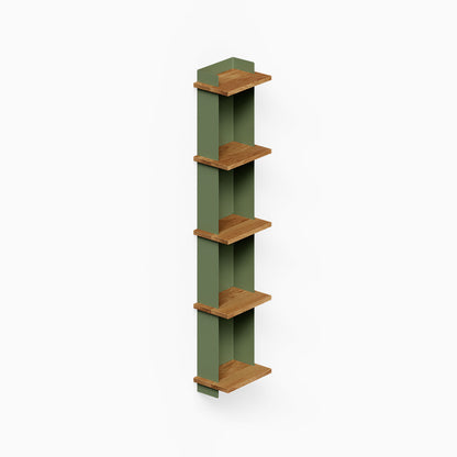 Halle Bookshelf with minimalist green frame and solid hardwood shelves, designed to maximize wall space for organization and display.