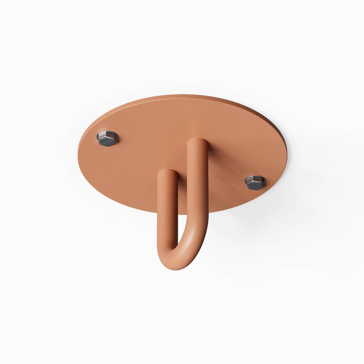 Minimalist rust-resistant matte ceiling mount with rounded hook secured by two metal bolts, Hang On Ceiling Hook by Shelfology.