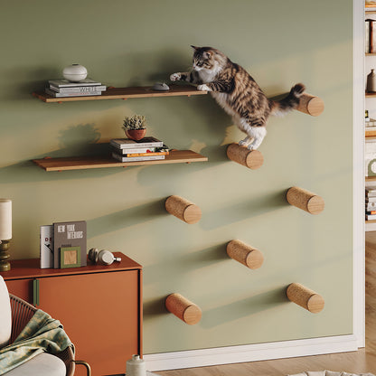 Kato Wall Mounted Cat Perch with a tabby cat climbing beside wood floating shelves on a green wall