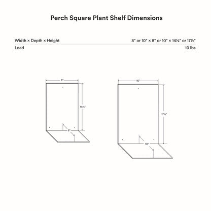 Perch Square Plant Shelf technical drawing showing dimensional options for narrow and wider wall-mounted display ledges