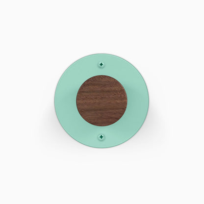 Runda Coat Rack 1 mint green round wall mounted coat rack with a walnut wood center and two visible mounting hooks