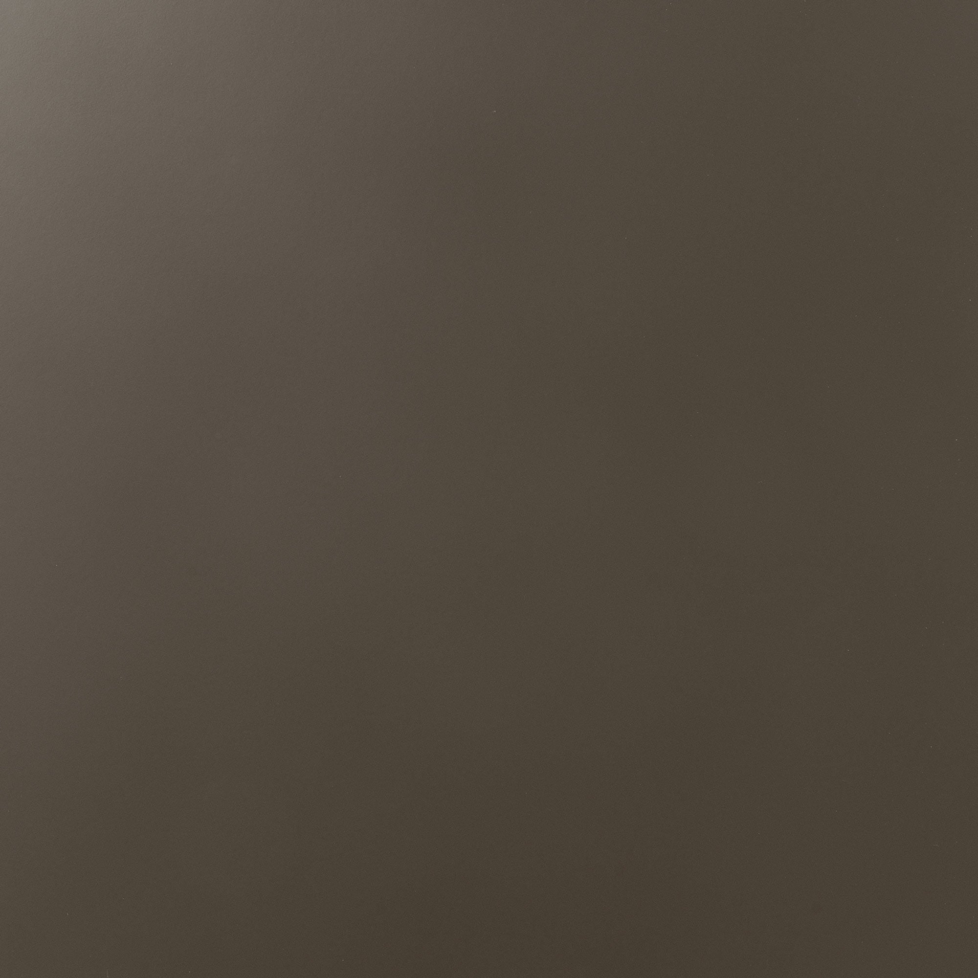 Tungsten Wood Slab close-up showing smooth, dark neutral surface ideal for minimalist display and functional wall shelving.