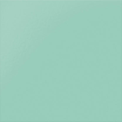 Clearance — Lippie Shower Ledge —  Left Side — Aqua Socks